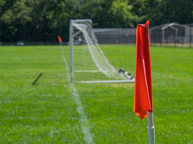 广东大胜合肥！徐杰统治级，胡明轩回二号位，杨溢展战略意义！