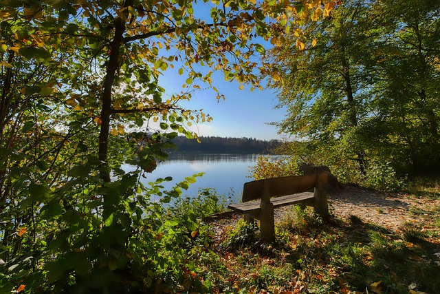 亚冠精英前瞻：林加德迎FC首尔告别战，墨尔本城亚冠赛场三连胜